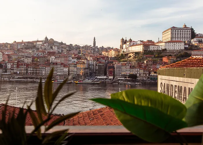 The House Of Sandeman